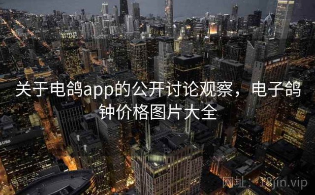 关于电鸽app的公开讨论观察，电子鸽钟价格图片大全