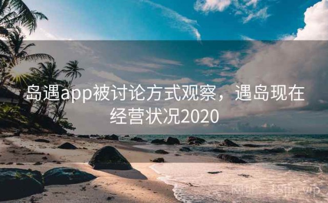 岛遇app被讨论方式观察，遇岛现在经营状况2020