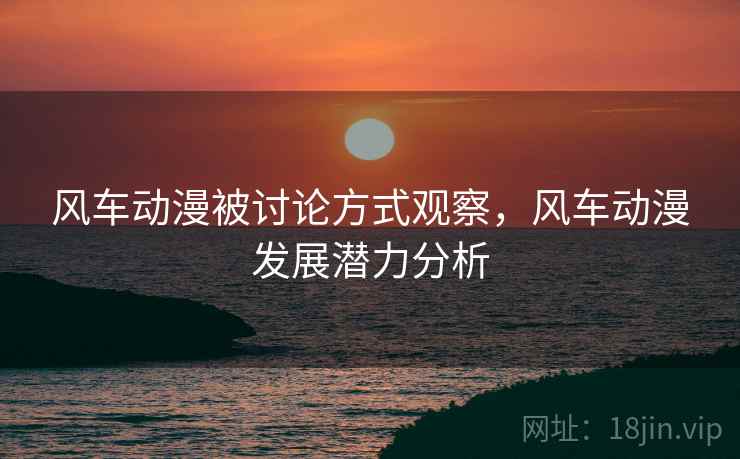 风车动漫被讨论方式观察，风车动漫发展潜力分析