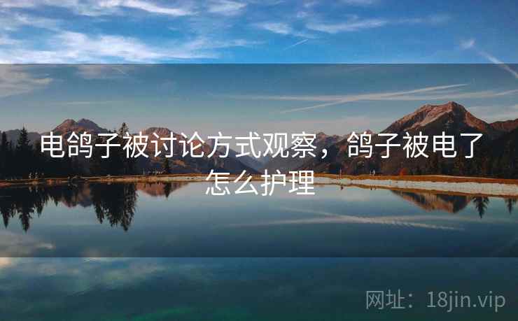 电鸽子被讨论方式观察，鸽子被电了怎么护理