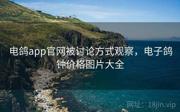 电鸽app官网被讨论方式观察，电子鸽钟价格图片大全