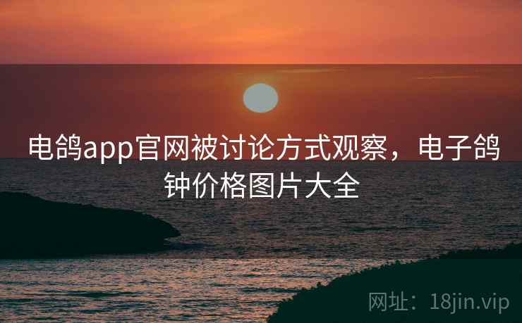 电鸽app官网被讨论方式观察,电子鸽钟价格图片大全 电鸽app官网被讨论方式观察,电子鸽钟价格图片大全