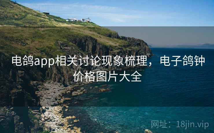 电鸽app相关讨论现象梳理，电子鸽钟价格图片大全