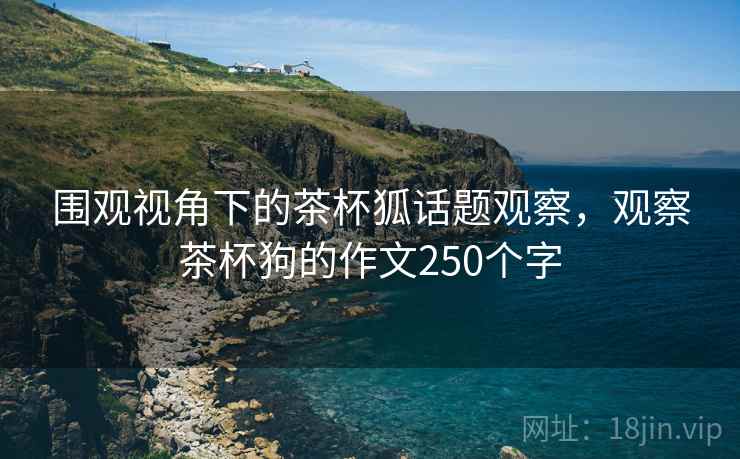 围观视角下的茶杯狐话题观察，观察茶杯狗的作文250个字